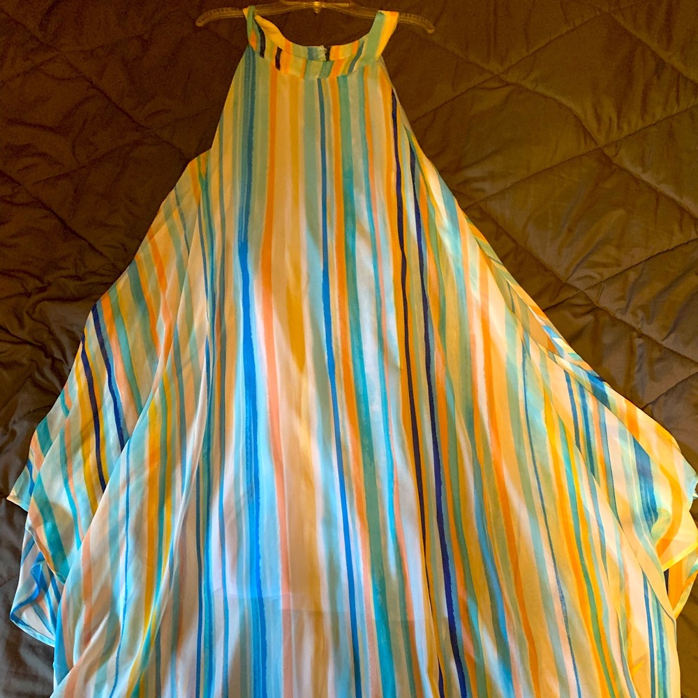 Striped Beauty in excellent condition